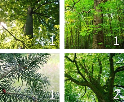 Pack :
Composition de pack
Composition de pack
Composition de pack
Composition de pack