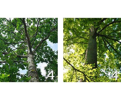 Pack :
Composition de pack
Composition de pack
Composition de pack